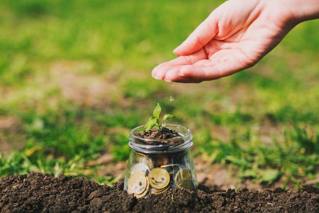 ecologia-startup-storeh-unicredit-clean-tech